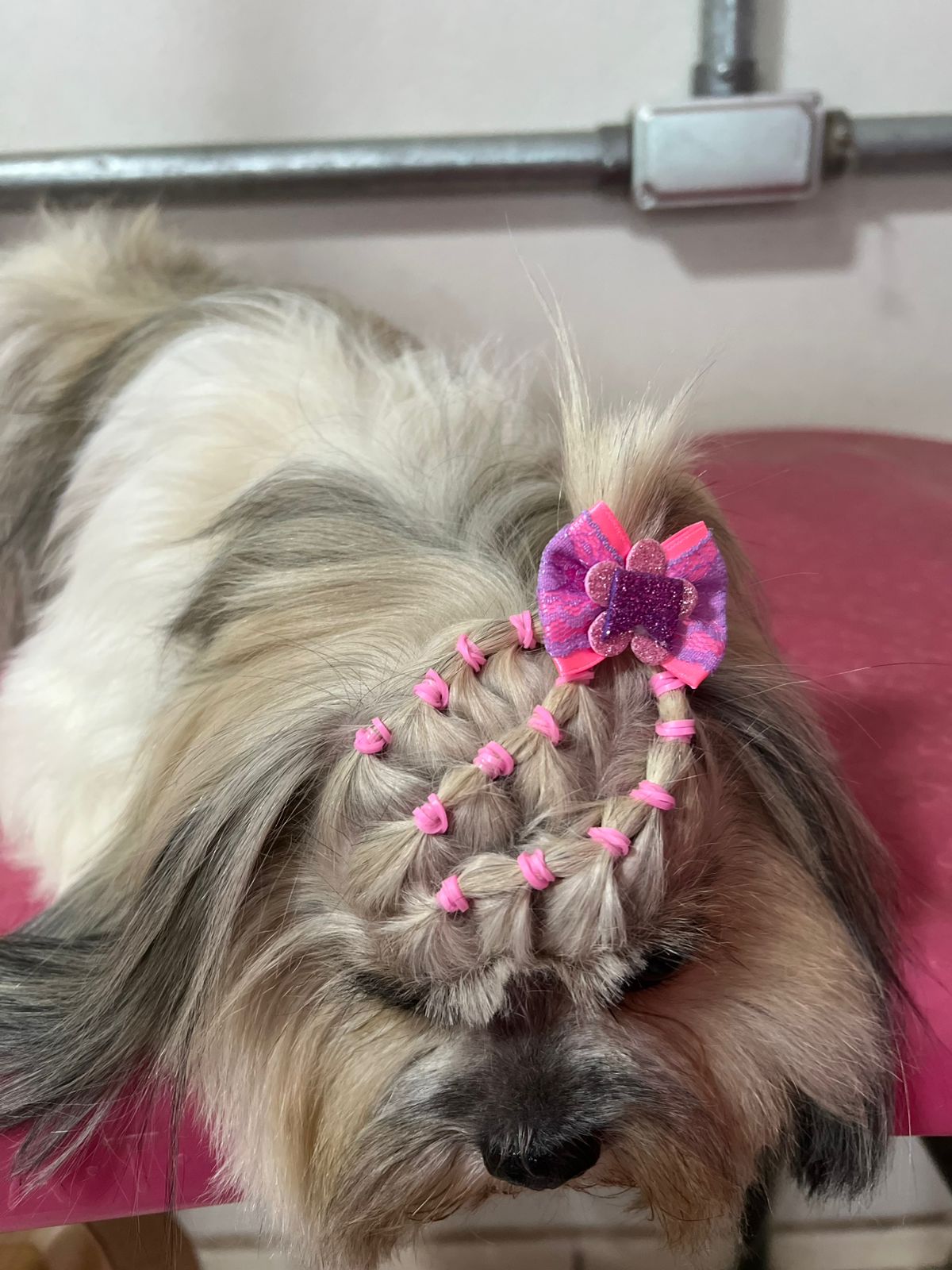 Penteado - Aula 10
