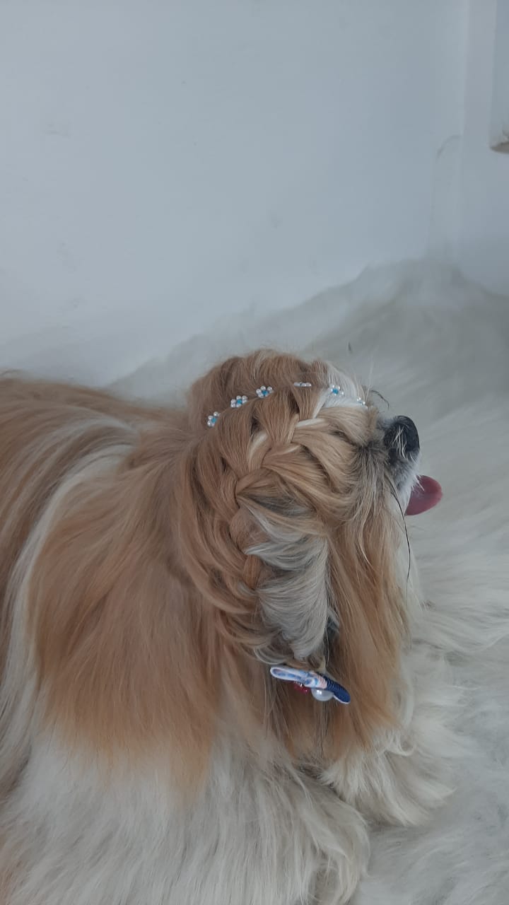 Penteado - Aula 13