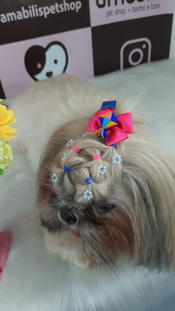 Penteado - Aula 15