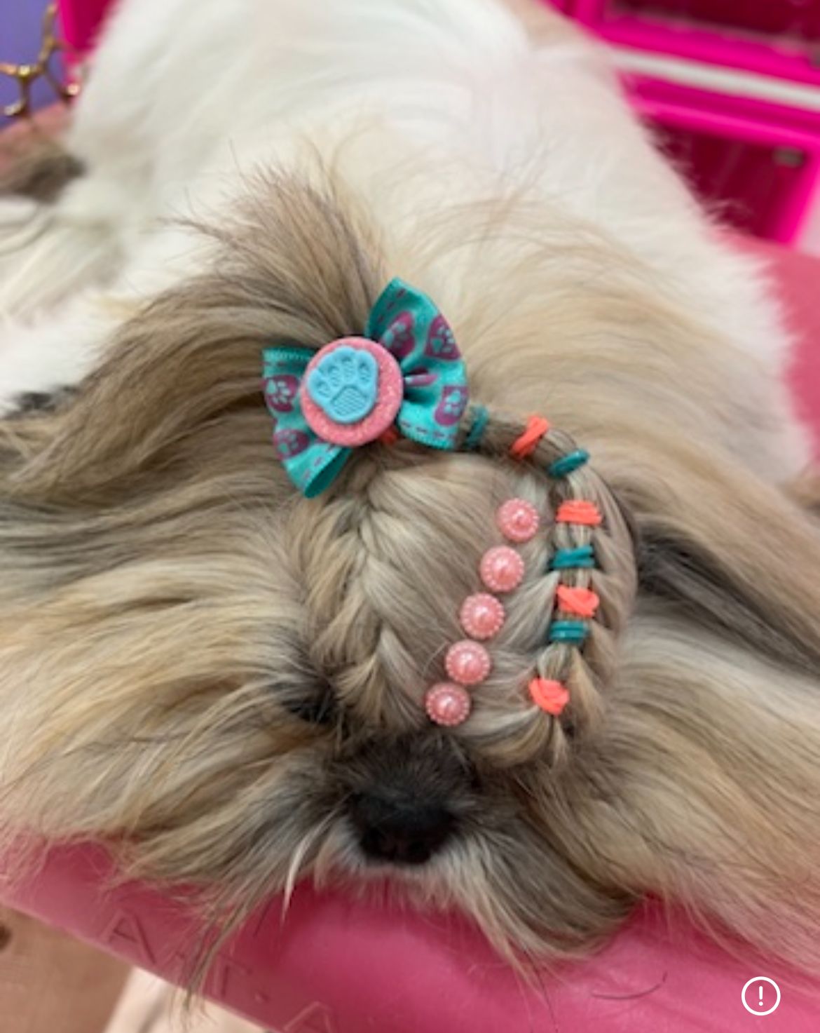 Penteado - Aula 16