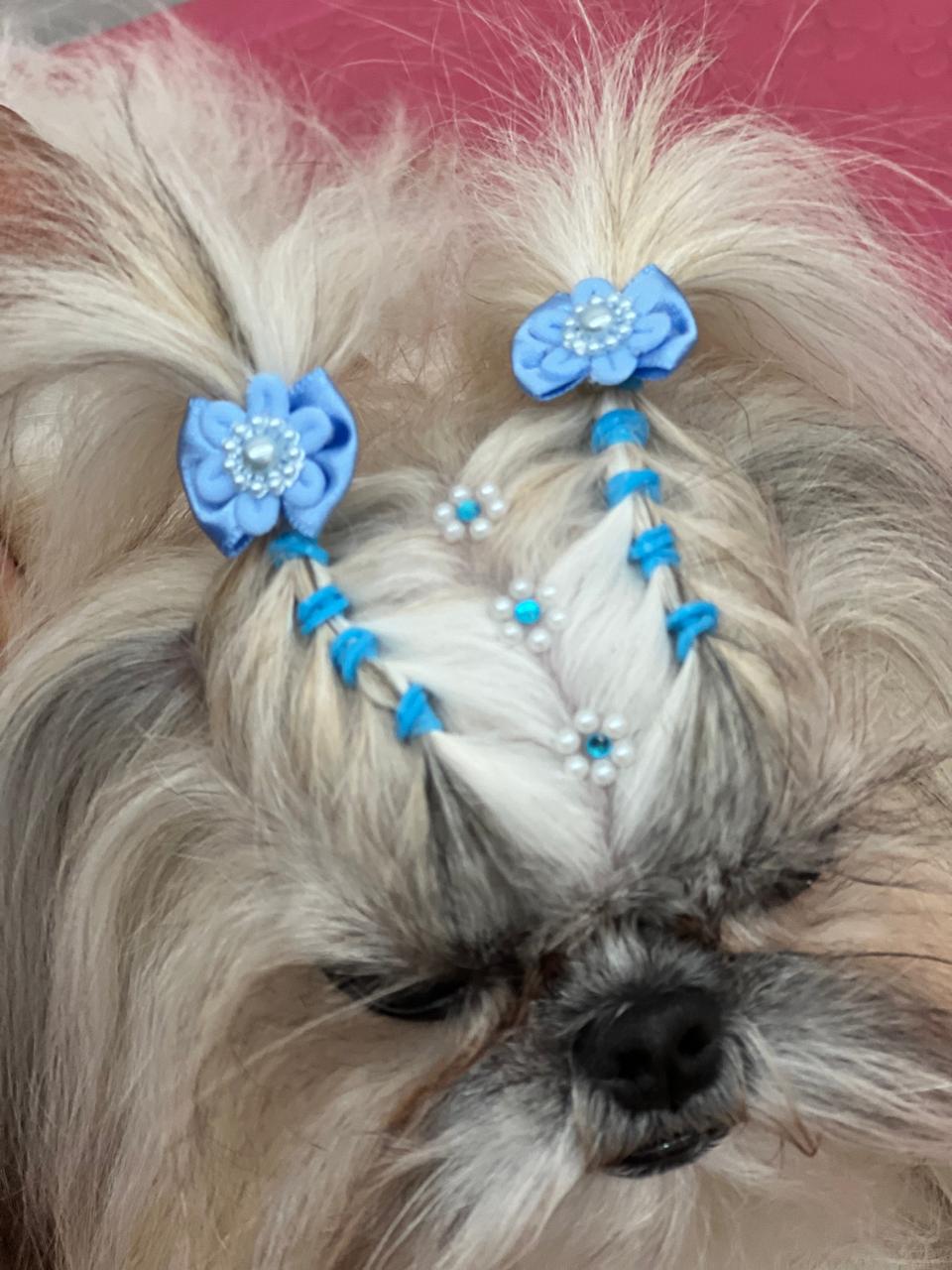 Penteado - Aula 4