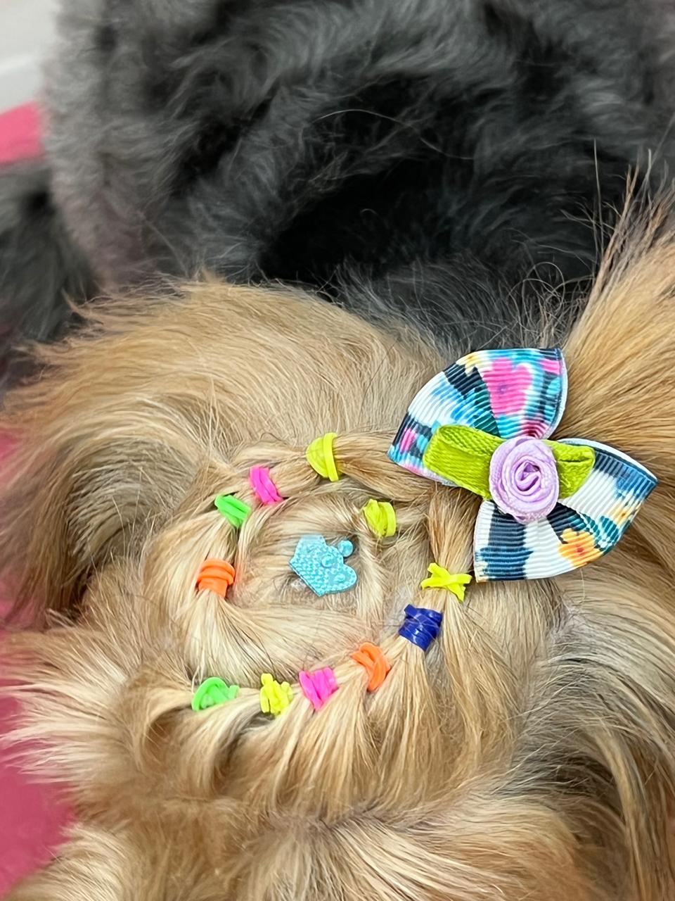 Penteado - Aula 5