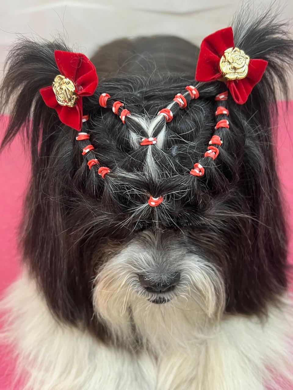 Penteado - Aula 8