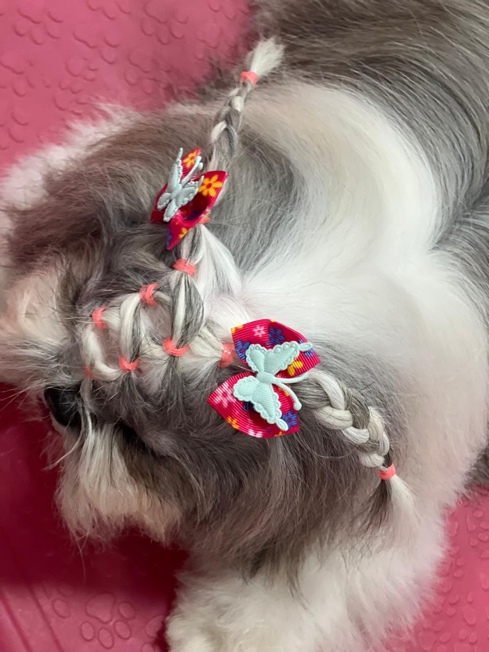 Penteado - Aula 9