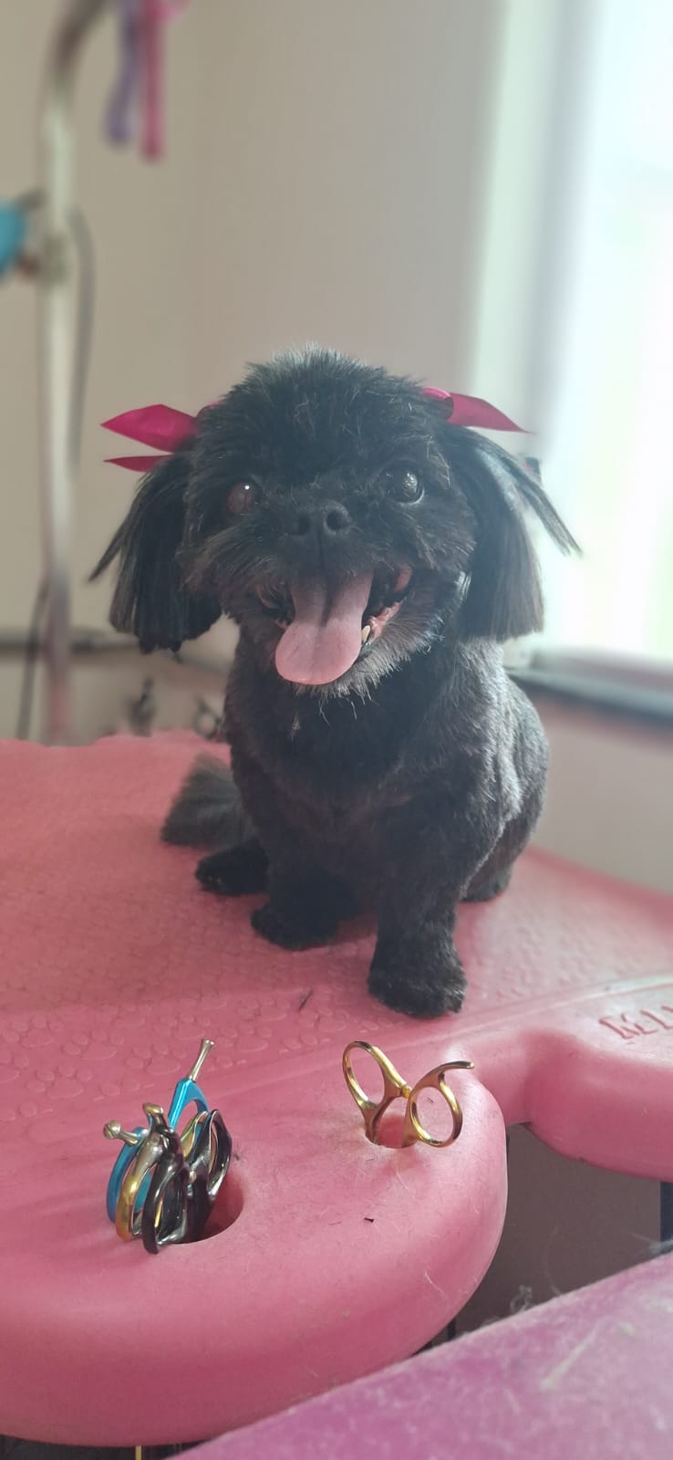 Amigos pelados da Amabilis 11